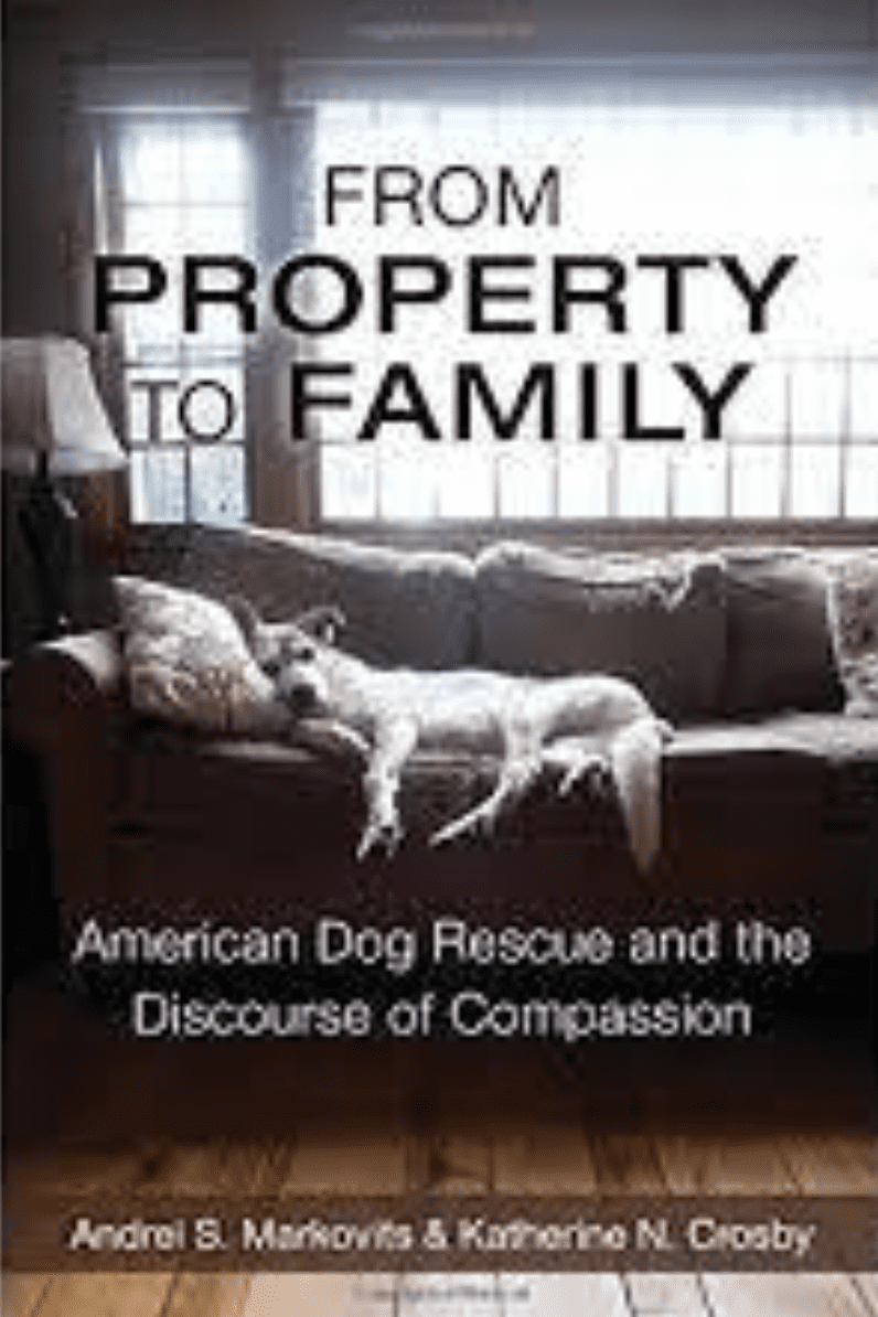 Book Cover(s)