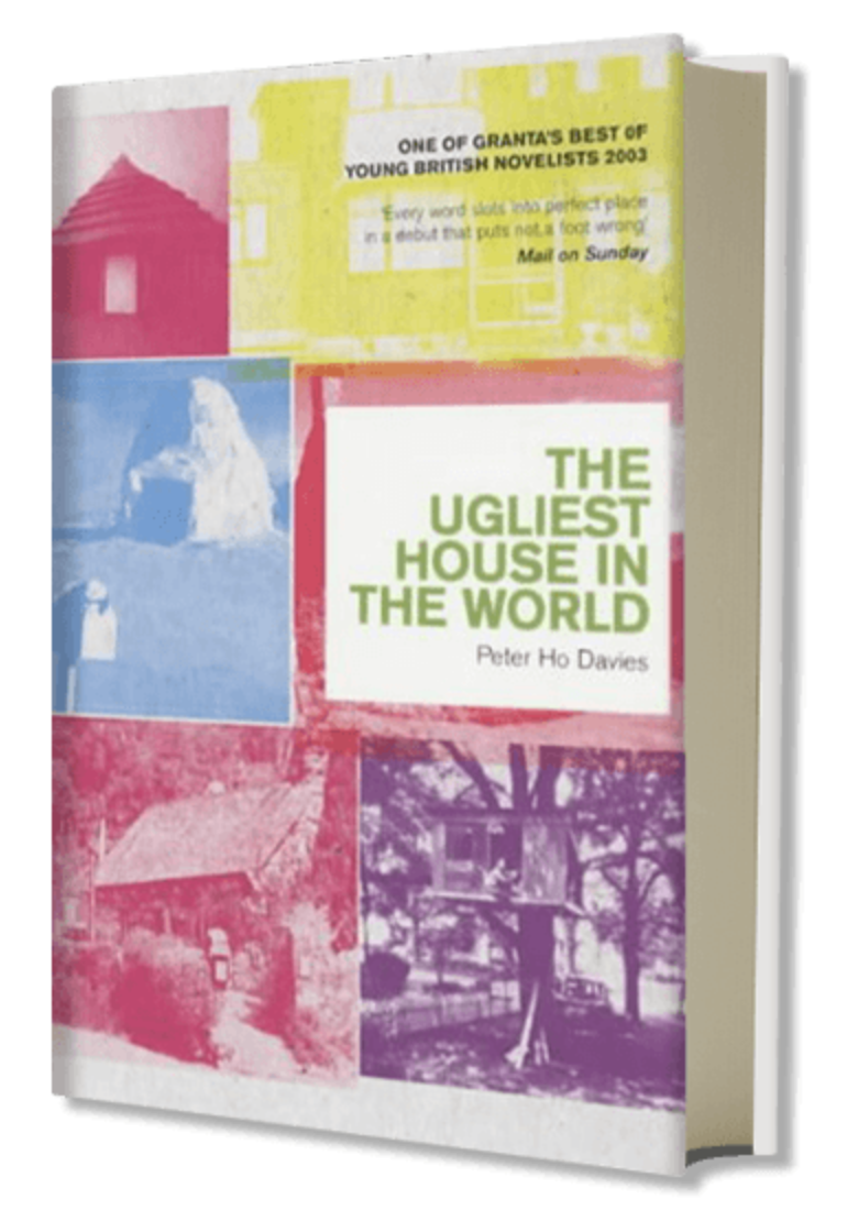 Book Cover(s)