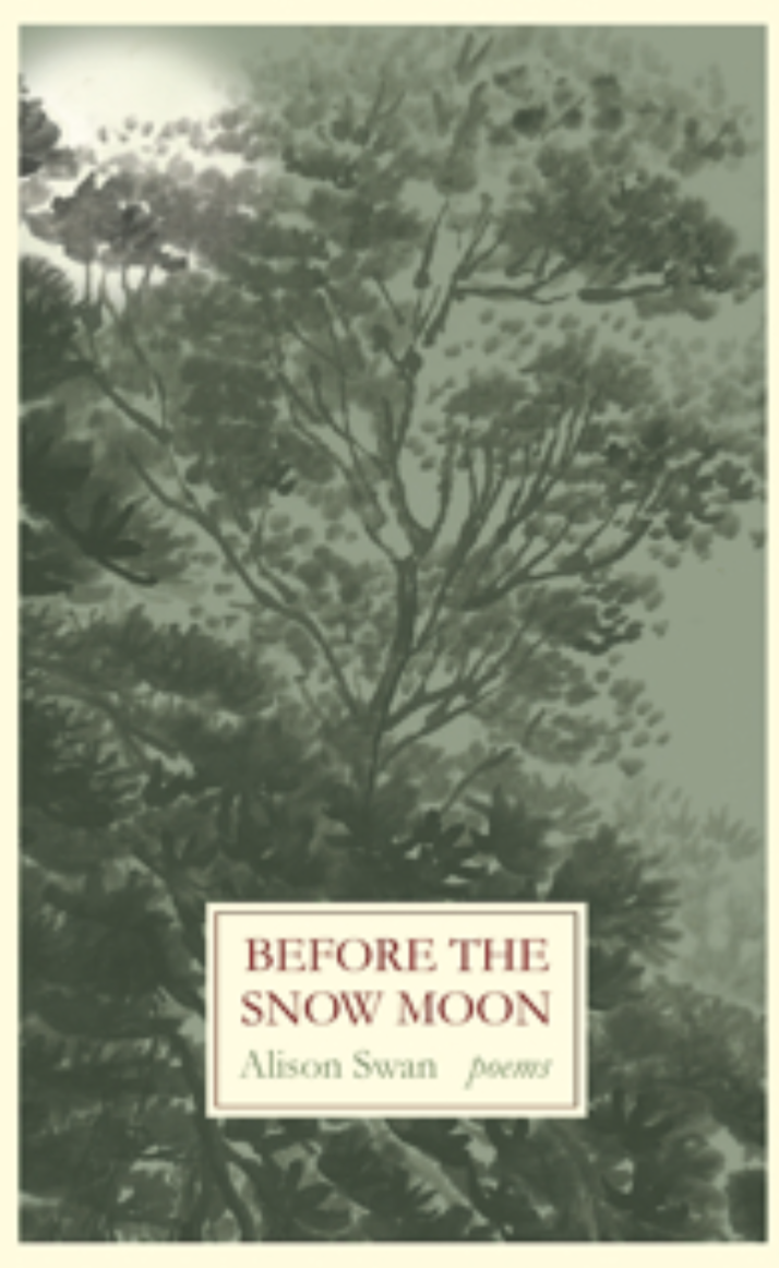 Book Cover(s)