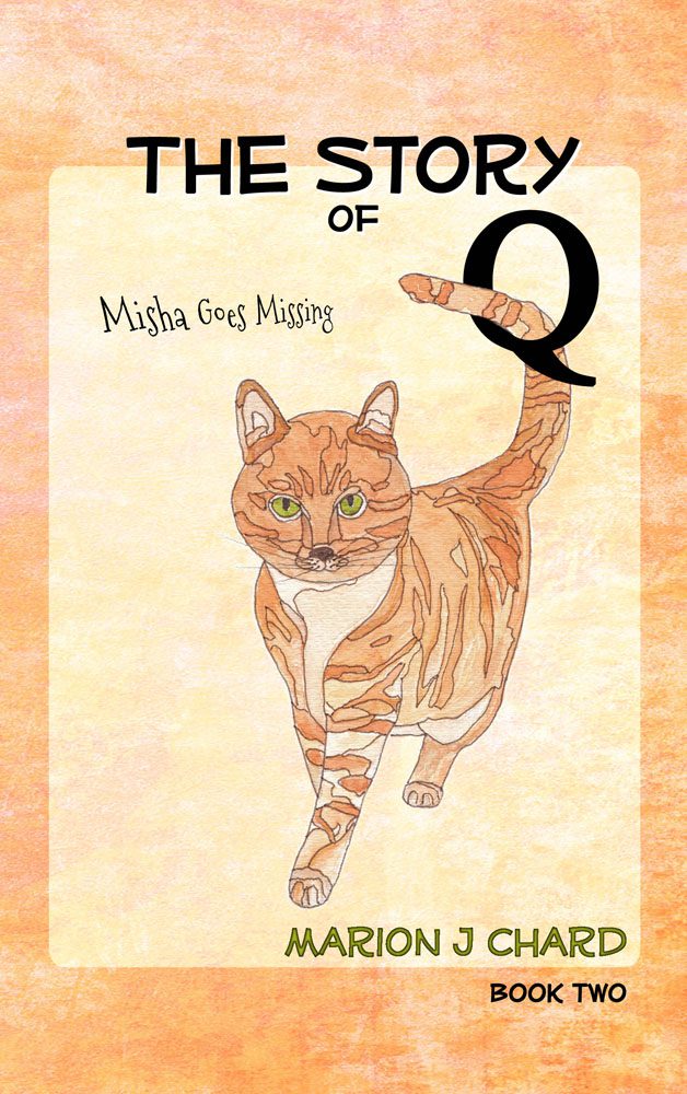 Book Cover(s)