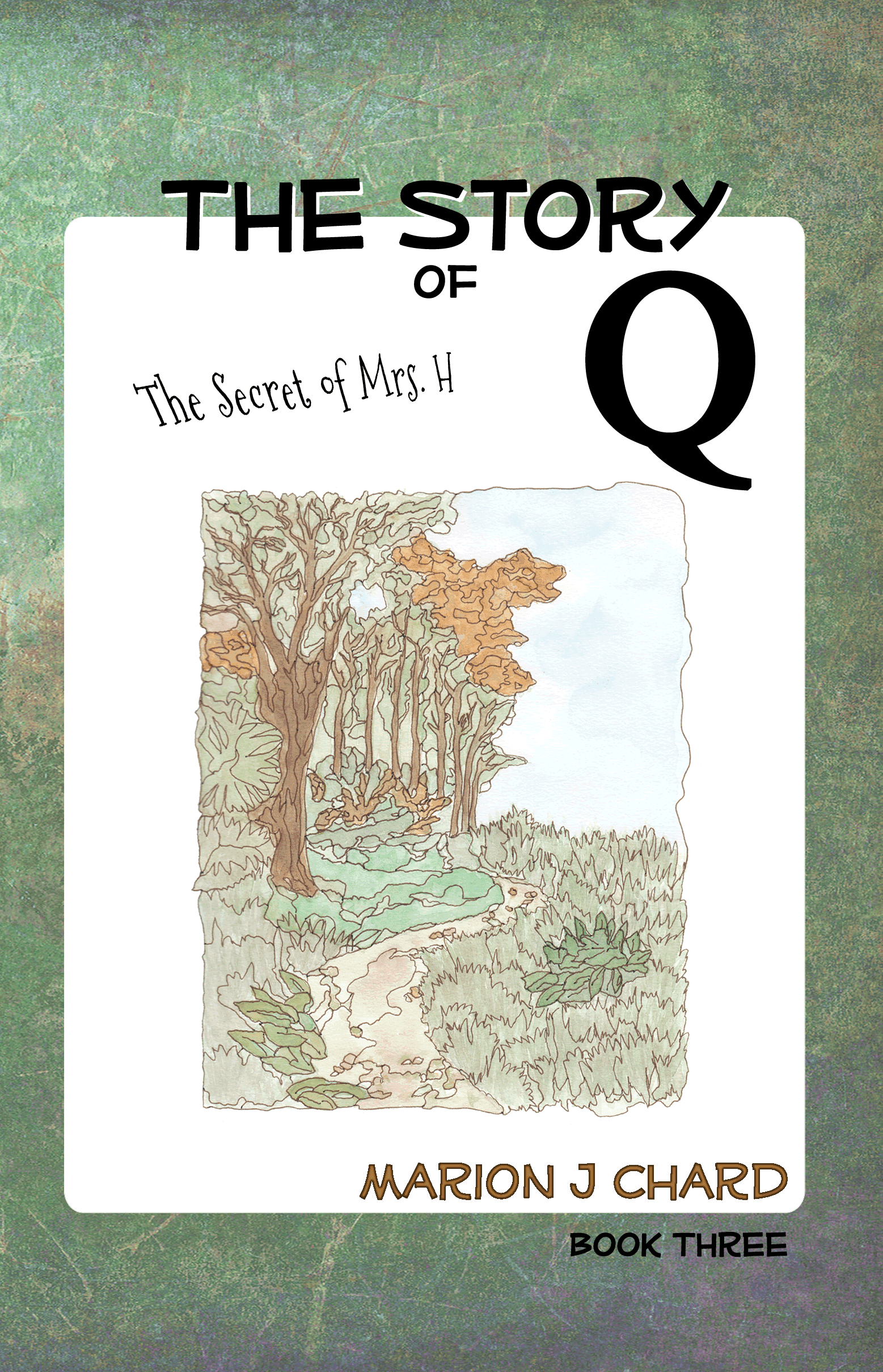 Book Cover(s)